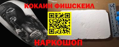крисы Кулебаки