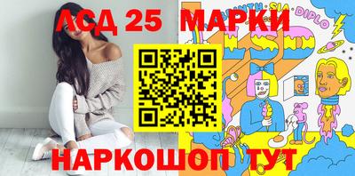 крисы Кулебаки