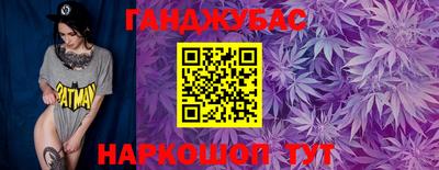 крисы Кулебаки