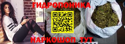 крисы Кулебаки