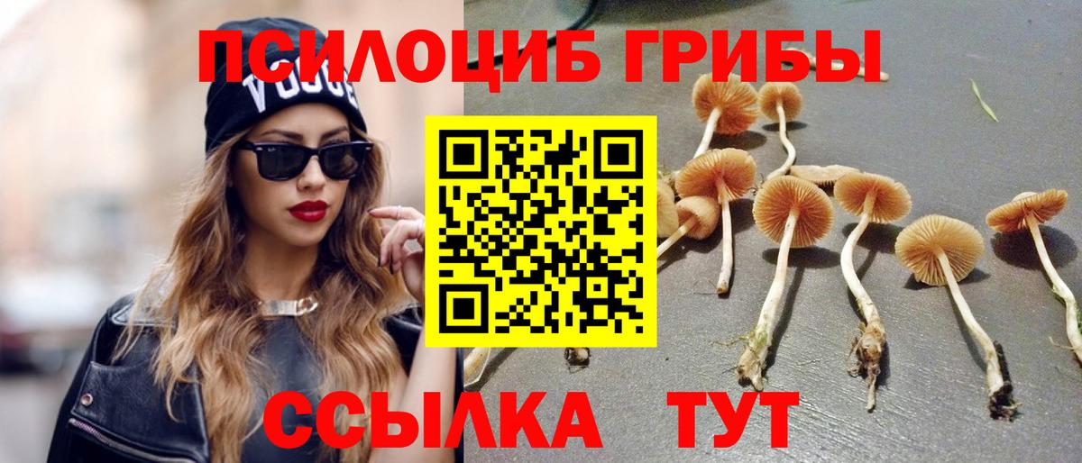 Галлюциногенные грибы GOLDEN TEACHER Кольчугино